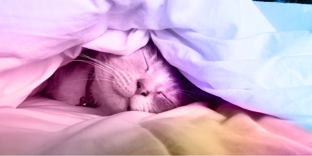 😴 The growing sleep-loss epidemic