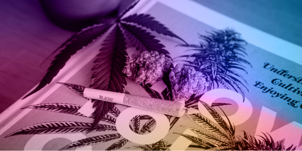 🌿 Cannabis goes mainstream
